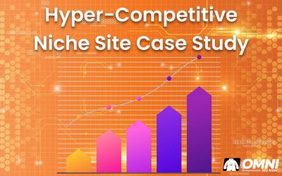 Hyper-Competitive Niche Site Case Study (+1.456% Increase in Organic Traffic)